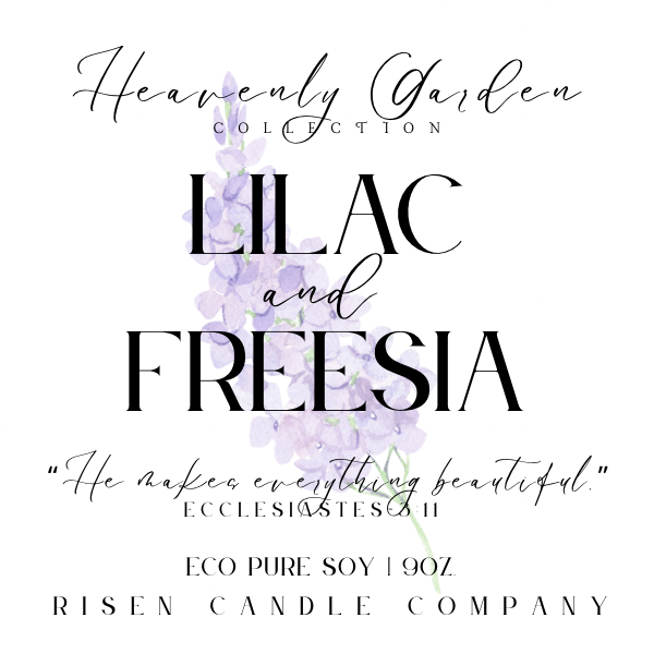 Lilac and Freesia