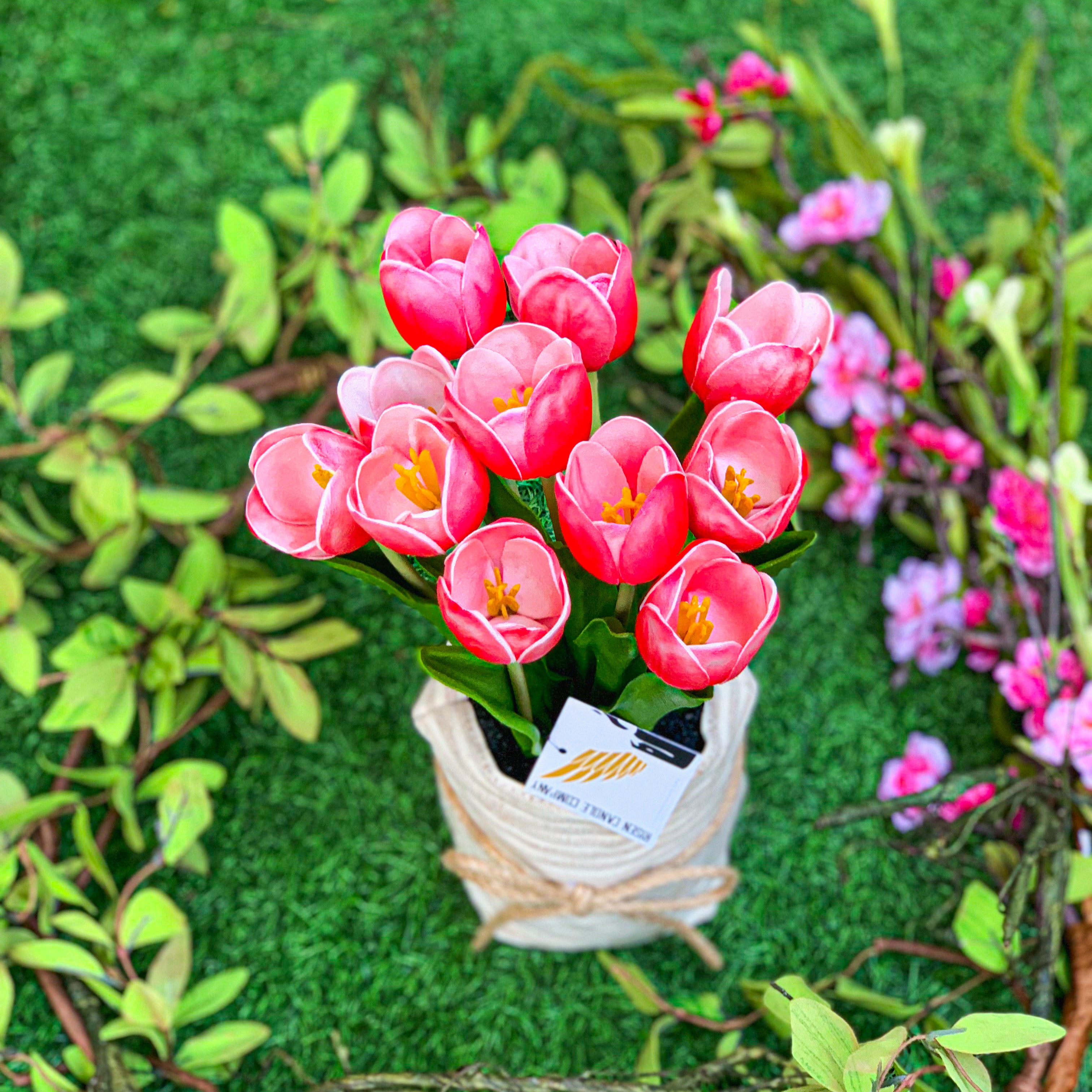 Spring Tulips